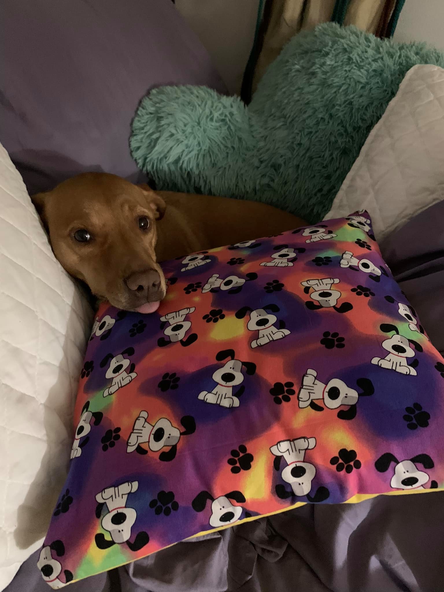 A pillow with dogs on it